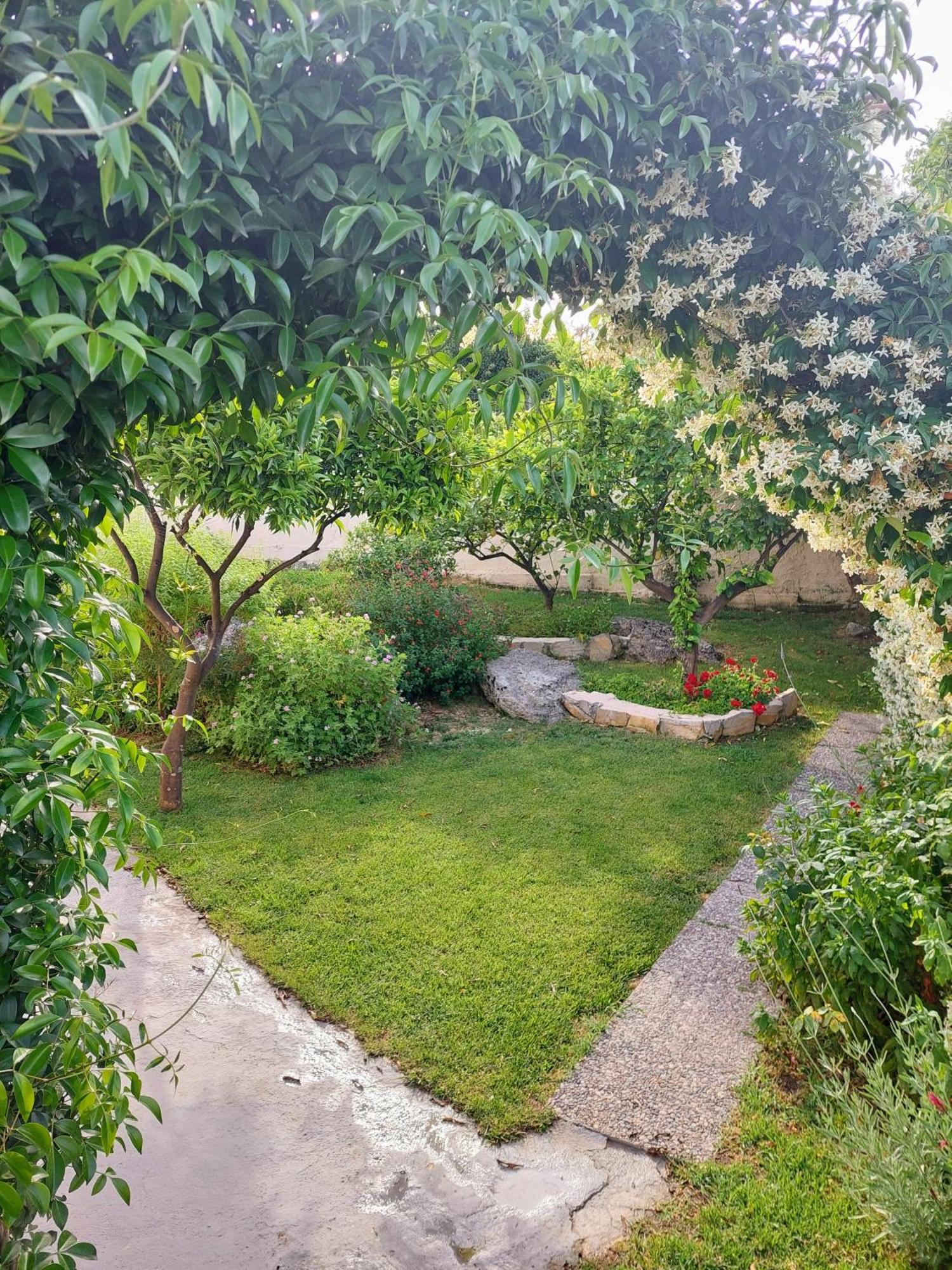 Summer Village House Popi Kanakades Экстерьер фото